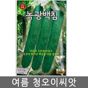 녹광백침 여름 오이씨앗 50립