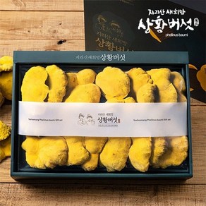 지리산새희망상황버섯 유기농 지리산 상황버섯(선물용) 500g (원형o슬라이스 택1), 슬라이스, 1개