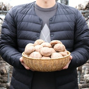 [산지직송] 국내산 생표고버섯 특상품 실속형 500g 1kg