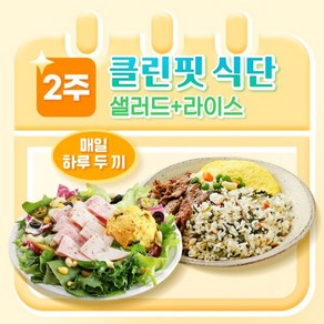 [포켓샐러드] 샐러드&라이스 2주 클린핏 식단 (총 24팩), 215g, 24개