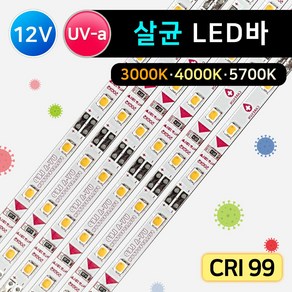 그린맥스 12V UV 항균 LED바 * 특허 CRI 99 자외선살균 살균조명 백색 UV살균램프 칼리시 바이러스 살균등, 1개, 항균LED바 12V 5700K