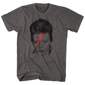 ROCKPANDA David Bowie 반팔티 Aladdin Sane