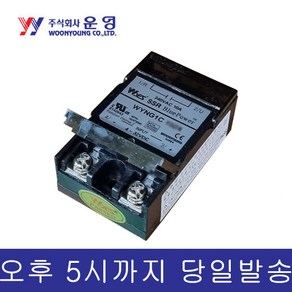 운영 WYNG1C25Z4 SSR 단상 DC입력/AC출력 무접점릴레이, 1개