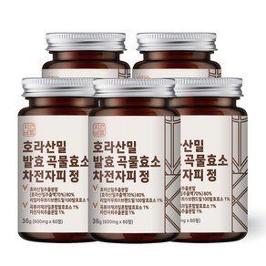 자연바름 카무트 효소 호라산밀 발효 곡물 복합효소 차전자피 자몽 오렌지 정, 60정, 36g, 5개