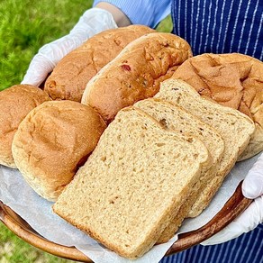 지미하다 흰밀가루없는 100% 통밀빵 (식빵/모닝빵/견과빵/단팥빵), 3.통밀견과빵, 1개, 350g