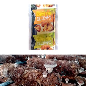 해피스토어70 표고버섯 진액즙 1박스(100ml X 30포), 1박스, 30개, 100ml, 30개입