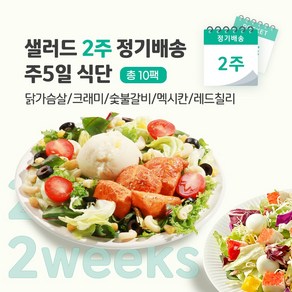 샐러드 2주 정기배송 주5일 (닭+크래미+숯불+멕시칸+레드칠리), 단품