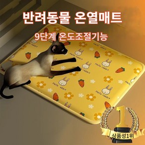 엠플 반려동물 애완견 고양이 강아지 온열매트 전기장판, 1개, 당근  40_60cm