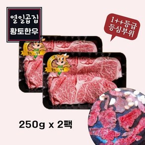 열일곱집황토한우 합천한우 1++등급 등심 250g x 2팩 배송비무료, 2개