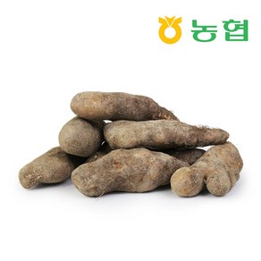 친환경팔도 [북안동농협] 안동 산마(중) 2kg 3kg 5kg, 1개