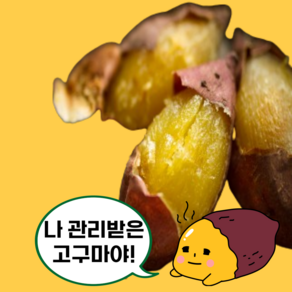 식탁의품격 전라도 큐어링 베니하루카 꿀고구마, 1개, 2kg(중소)