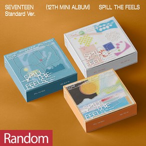 세븐틴 - SEVENTEEN [12th Mini Album] 랜덤, 일반반 랜덤