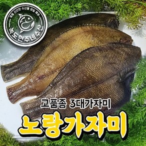 반건조 가자미 고품종 노랑가자미 특대 4마리 /1세트, 본상품선택, 1세트