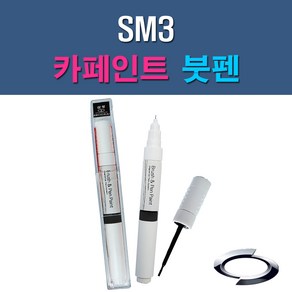 르노삼성 SM3 BPE EEA QXB EEC GXA EEJ FSE PSE 자동차 차량용 도색 카페인트 붓펜 타입