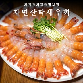 프리미엄 선동 딱새우회 140g (20마리내외), 딱새우회만 140g (20마리내외), 1개