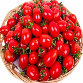 농부곳간 대추 방울토마토, 대추방울토마토 5kg 4~5번과 소과, 1개