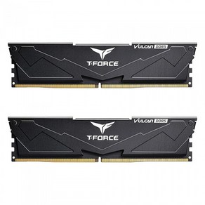 TeamGoup T-Foce DDR5-6000 CL38 Vulcan Black 패키지 (64GB(32Gx2)), 2개