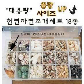 대용량 천연 자연조개세트 18종(용량 사이즈UP)