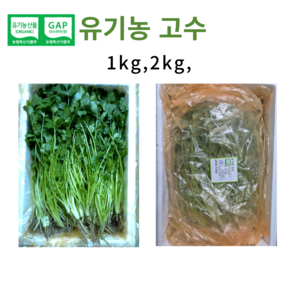 [바오농장] 국내산 친환경 유기농 고수1kg 채소, 1박스, 1kg