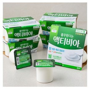 액티비아 플레인 80g, 24개