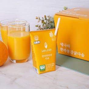 네니아 한라봉감귤다솜 125ml x 14개