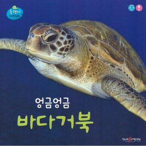 엉금엉금 바다거북, 인북, 편집부 저, 올챙이 자연동화