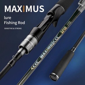 공장직판 RYOBI RANMI MAXIMUS 루어 낚싯대 탄소 후지 가이드 스피닝 캐스팅 로드 3-50g ML/MH 트래블 로드 1.8m 2.1m 2.4m 2.7m 3.0m 30T