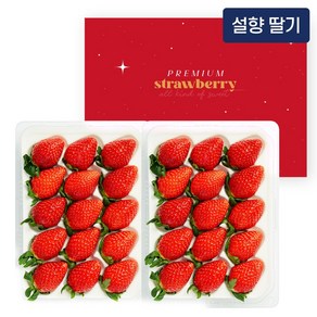 새콤달콤 설향 딸기 800g (특품/24~30과), 1박스