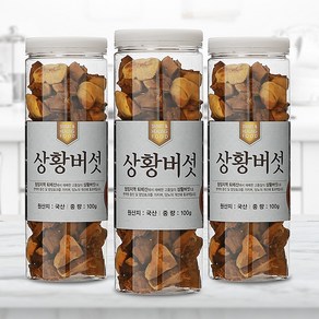 [채울농산] 추천상품 국산100% 장수 상황버섯(baumii 최상품) 1개월분, 100g, 1개