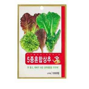 SN월드 5종혼합상추 잎채소류 상추씨앗 쌈 채소 씨앗, 1개