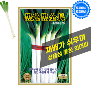 [씨앗팜] 대파씨앗 (15g) 흑금외대파 외대파 파씨앗, 1개