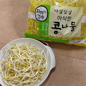 5분마켓 재야 콩나물 김치콩나물국 콩나물불고기 1KG