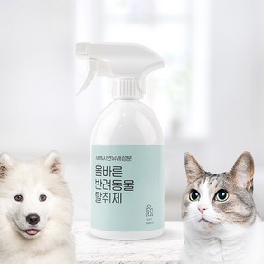 페인트인포 반려동물 올바른 편백수 스프레이 탈취제 리필, 500ml, 1개