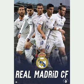 MAXI Poste 포스터 61x91 - 레알 마드리드 REAL MADRID: 2016 2017 GRUPO ACCION, 포스터만구매