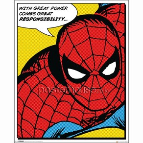 Mini Poste 40x50Cm 인테리어 포스터 - 스파이더 맨 Spide Man: Quote [Mini], 포스터만구매