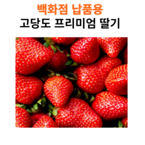 [가락시장 인기상품] 프리미엄 설향 딸기 특대과, 1개, 500g(특)