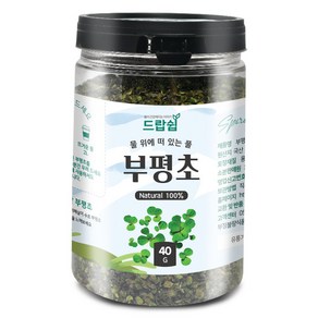 드랍쉽 부평초(국산) 40g(통) 개구리밥, 부평초[국산] 40g[통], 40g, 1개