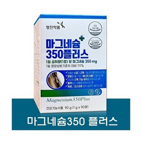 영진약품 마그네슘350 플러스 90정 3개월분, 1개