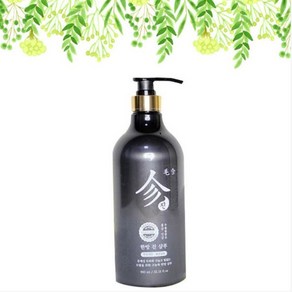 탈모야안녕 한방 진 샴푸 950ml, 1개