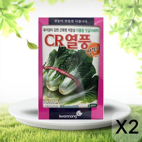솔림텃밭몰 엇갈이배추씨앗 6000립 CR열풍 여름용 엇갈이배추, 2개