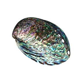 IMIKEYA Natual Abalone Seashell Highly Polished Smudging Abalone Shell White Sage Bune Holde fo, 1개, Pictue 1