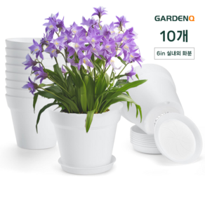 GARDENQ 국제 스탠다드 화분 크리스마스 화분 다육이화분 플라스틱 화분 10cm 16p 작은 미니 화분/15.5cm 10p 중형 화분+ 트레이 크리스마스 선물