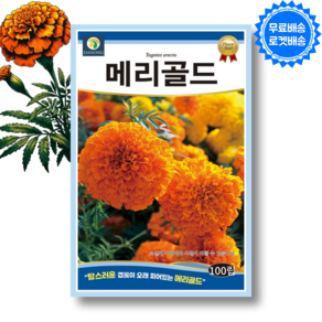 메리골드 씨앗 marigold 꽃 씨앗 꽃씨 메리골드 종자