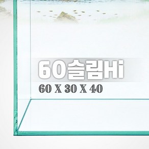 그린월드60 슬림Hi 수조 (일반) (60x30x40 6T), 1개, 일반