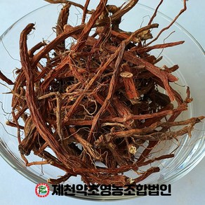 국산 단삼 250g 제천약초영농조합 제천약초시장