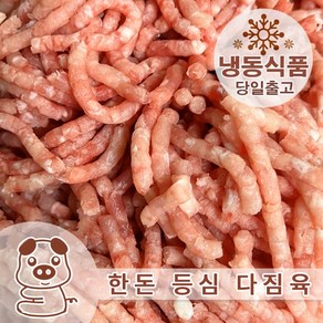 한돈 돈등심 다짐육 1KG 공장직영 당일배송, 1개