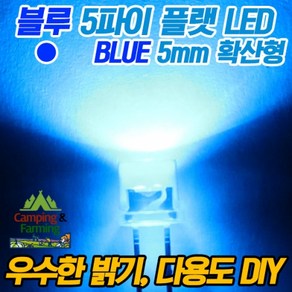 5파이 플랫 확산형LED(블루/DIY용/다용도/교재용)