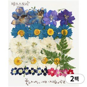 체크스토리 압화 누름꽃 꽃송이 압화공예 종합팩, 2팩, 미니신랑