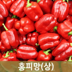 홍피망(상) 10kg 5kg 빨강피망 사이즈 다양 두리반농산