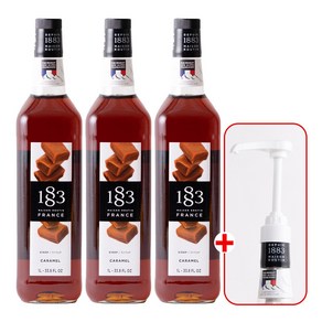 1883 카라멜 시럽 1000ml 3개 +1883 범용 시럽 펌프 화이트 1개 세트